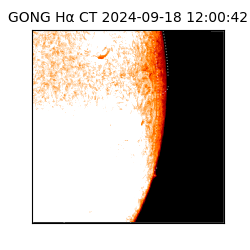 gong - 2024-09-18T12:00:42