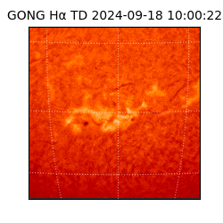 gong - 2024-09-18T10:00:22