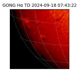 gong - 2024-09-18T07:43:22