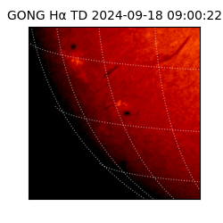 gong - 2024-09-18T09:00:22