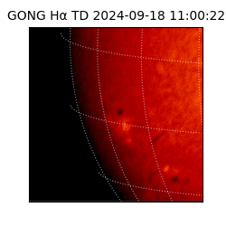 gong - 2024-09-18T11:00:22