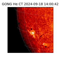 gong - 2024-09-18T14:00:42