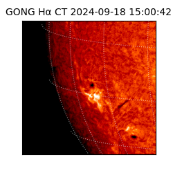 gong - 2024-09-18T15:00:42