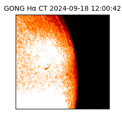 gong - 2024-09-18T12:00:42