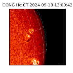 gong - 2024-09-18T13:00:42