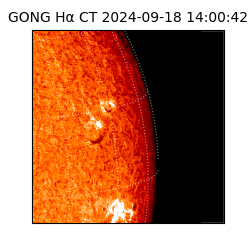 gong - 2024-09-18T14:00:42