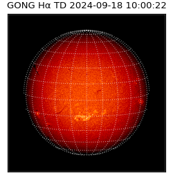 gong - 2024-09-18T10:00:22