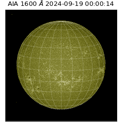 saia - 2024-09-19T00:00:14.126000