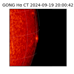 gong - 2024-09-19T20:00:42