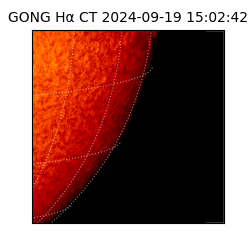 gong - 2024-09-19T15:02:42