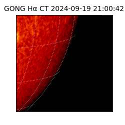 gong - 2024-09-19T21:00:42