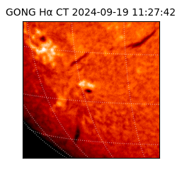 gong - 2024-09-19T11:27:42