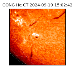 gong - 2024-09-19T15:02:42