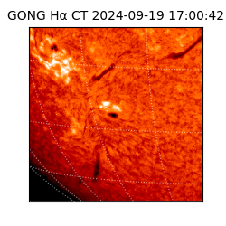 gong - 2024-09-19T17:00:42