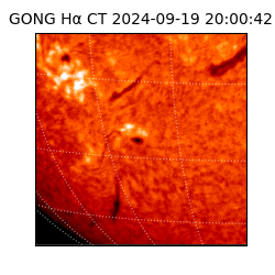 gong - 2024-09-19T20:00:42