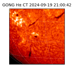 gong - 2024-09-19T21:00:42