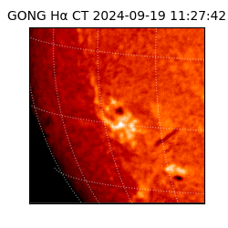 gong - 2024-09-19T11:27:42