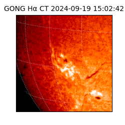 gong - 2024-09-19T15:02:42