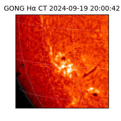 gong - 2024-09-19T20:00:42