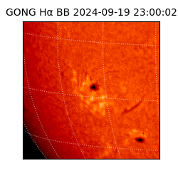 gong - 2024-09-19T23:00:02