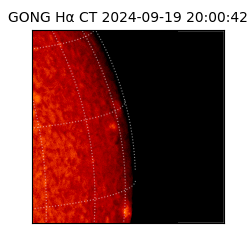 gong - 2024-09-19T20:00:42