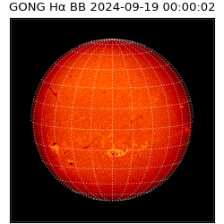 gong - 2024-09-19T00:00:02