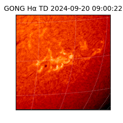 gong - 2024-09-20T09:00:22