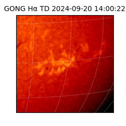 gong - 2024-09-20T14:00:22