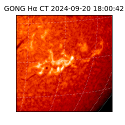 gong - 2024-09-20T18:00:42