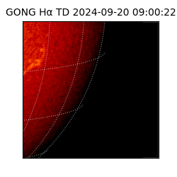 gong - 2024-09-20T09:00:22