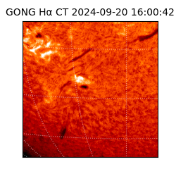 gong - 2024-09-20T16:00:42