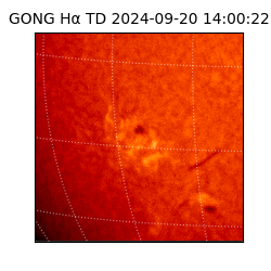gong - 2024-09-20T14:00:22