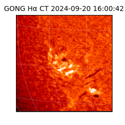 gong - 2024-09-20T16:00:42