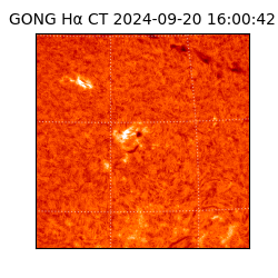 gong - 2024-09-20T16:00:42