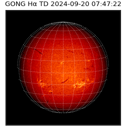 gong - 2024-09-20T07:47:22