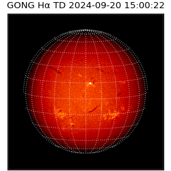 gong - 2024-09-20T15:00:22