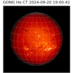 gong - 2024-09-20T19:00:42