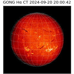 gong - 2024-09-20T20:00:42