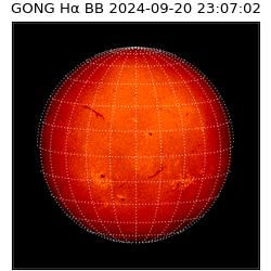 gong - 2024-09-20T23:07:02