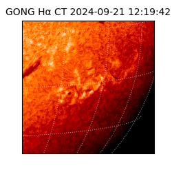 gong - 2024-09-21T12:19:42