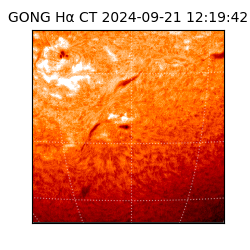 gong - 2024-09-21T12:19:42