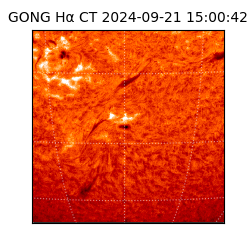 gong - 2024-09-21T15:00:42