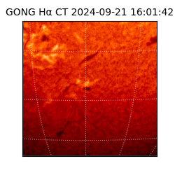 gong - 2024-09-21T16:01:42