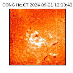 gong - 2024-09-21T12:19:42