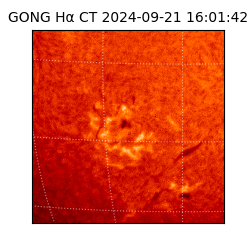 gong - 2024-09-21T16:01:42