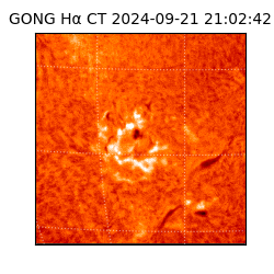 gong - 2024-09-21T21:02:42