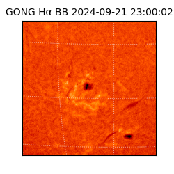 gong - 2024-09-21T23:00:02