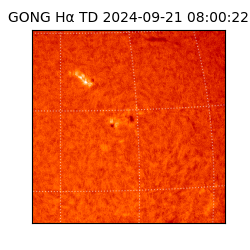 gong - 2024-09-21T08:00:22