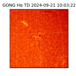 gong - 2024-09-21T10:03:22