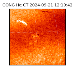 gong - 2024-09-21T12:19:42